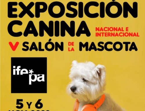 Exposición Internacional Canina y Salón de la Mascota en IFEPA