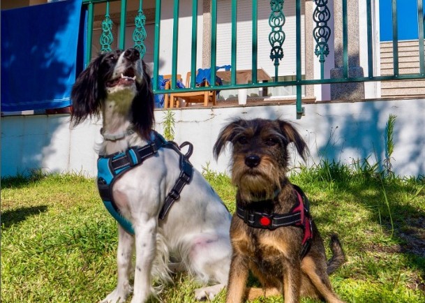 Captura-web_31-5-2022_18256_www.instagram.com_