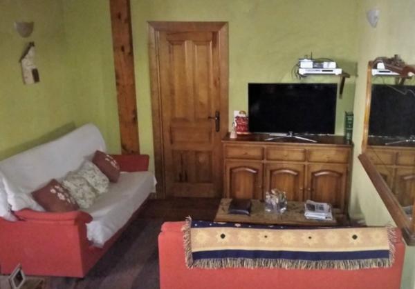 viajaconperro (1)