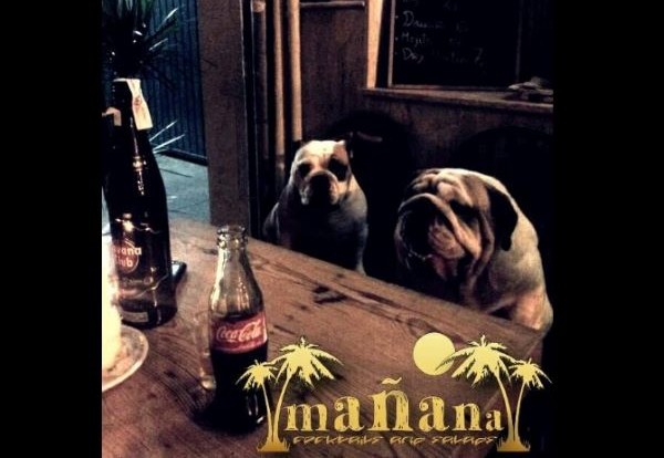 viajaconperro-1-31