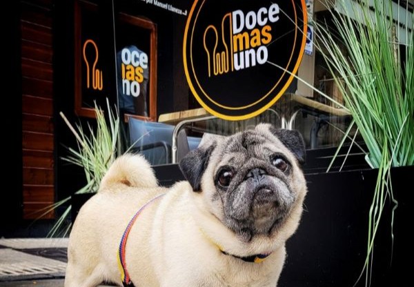 viajaconperro-1-4