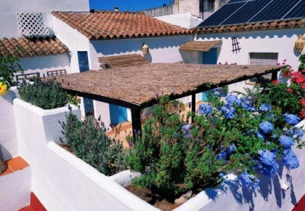 viajaconperro (1)