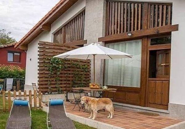 viajaconperro (2)