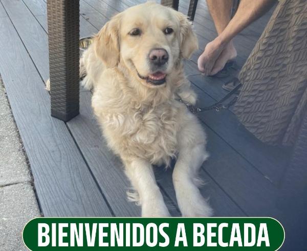 viajaconperro (2)