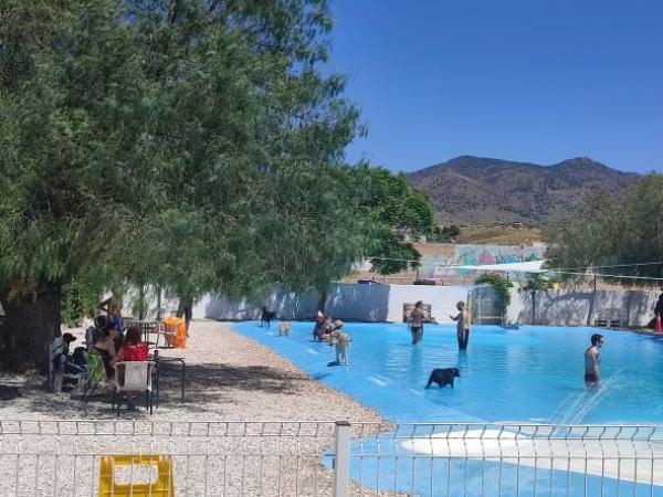 viajaconperro (2)