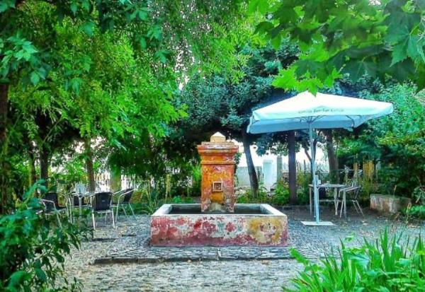 viajaconperro (2)