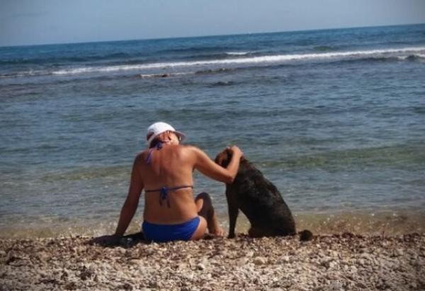 viajaconperro (2)
