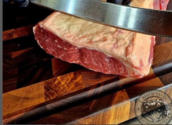 viajaconperro (3)