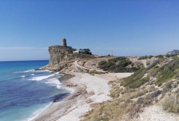 viajaconperro (4)