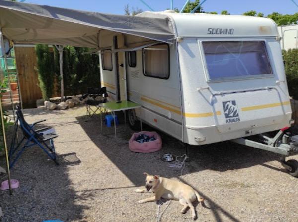 viajaconperro (5)