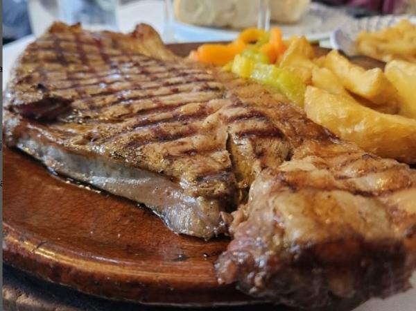 viajaconperro (5)
