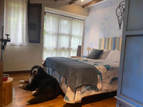 viajaconperro (5)