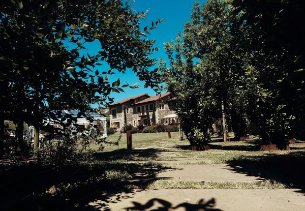 viajaconperro (5)