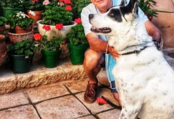 viajaconperro (6)