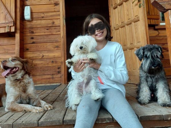viajaconperro (7)