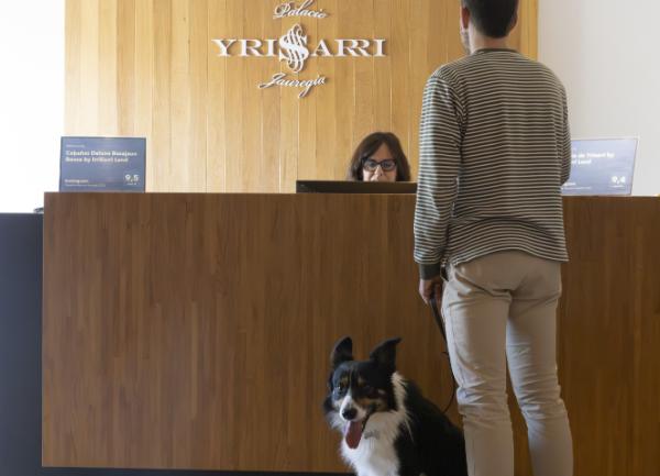 viajaconperro (6)
