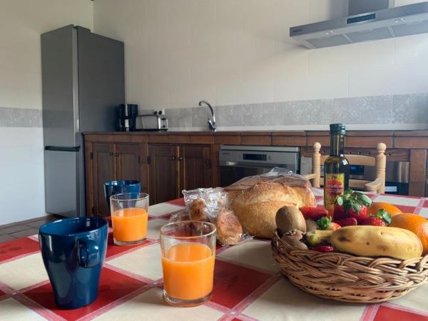 viajaconpero (2)