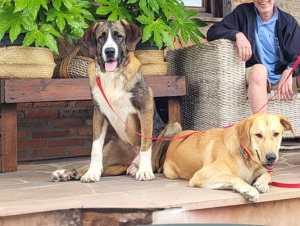 viajaconperro (7)