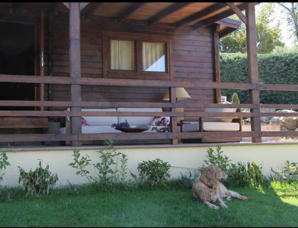 viajaconperro (2)