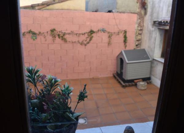viajaconperro (5)