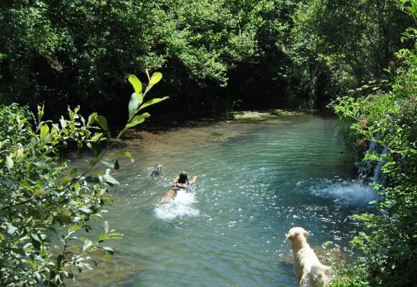 viajaconperro (2)