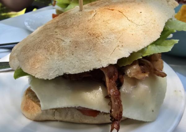 viajaconperro (3)