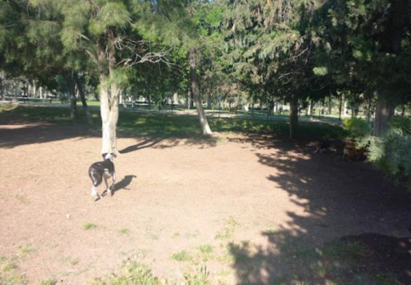viajaconperro (1)
