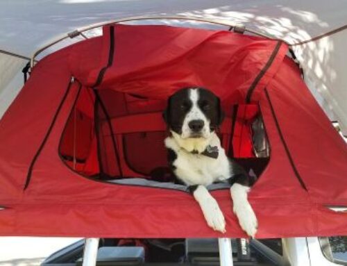 Camping Las Nogueras de Nerpio
